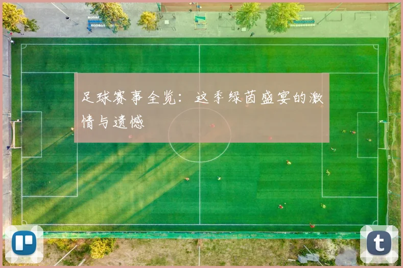 足球赛事全览:这季绿茵盛宴的激情与遗憾