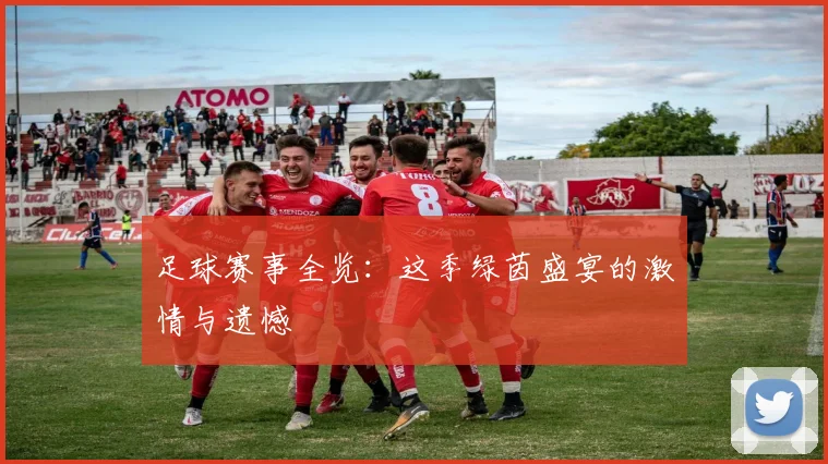 足球赛事全览:这季绿茵盛宴的激情与遗憾