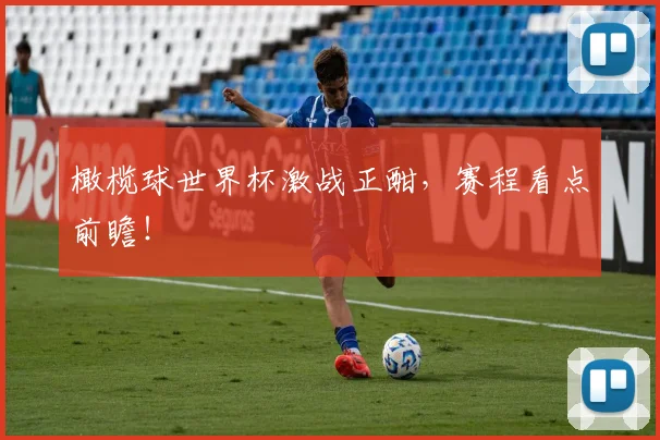 橄榄球世界杯激战正酣，赛程看点前瞻！